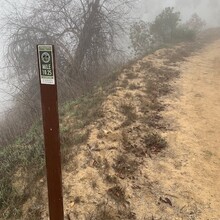 Bradley English - Los Angeles County: Schabarum-Skyline Trail (CA)