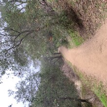 Bradley English - Los Angeles County: Schabarum-Skyline Trail (CA)