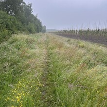 Duncan Epping, Raymon Epping - Het Heerlijk Pauwelspad (Netherlands)