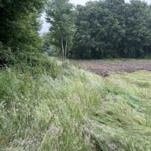 Duncan Epping, Raymon Epping - Het Heerlijk Pauwelspad (Netherlands)