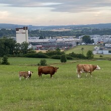 Johannes Bedenbender - Burgwaldpfad (Germany)