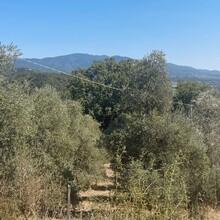 Alessandro Tassinari - Anello Del Rinascimento (Italy)