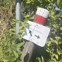 Alessandro Tassinari - Anello Del Rinascimento (Italy)