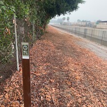 Bradley English - Los Angeles County: Schabarum-Skyline Trail (CA)