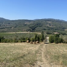 Alessandro Tassinari - Anello Del Rinascimento (Italy)