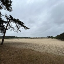 Duncan Epping, Raymon Epping - Het Heerlijk Pauwelspad (Netherlands)