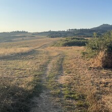Alessandro Tassinari - Anello Del Rinascimento (Italy)