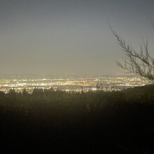 Alessandro Tassinari - Anello Del Rinascimento (Italy)