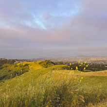 Liam Lonsdale, Elizabeth Mills - East Bay Skyline National Recreation Trail (CA)