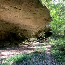 Delia Raymer - Zaleski Backpack Trail (OH)
