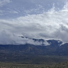 Phoebe Chilton - Catalina State Park All Trails (AZ)