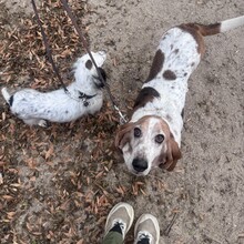 Phoebe Chilton - Catalina State Park All Trails (AZ)