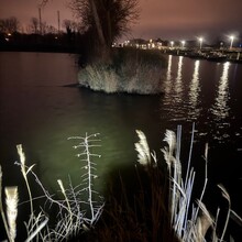 Sam Bracke - GR 130 IJzer (Belgium, France)