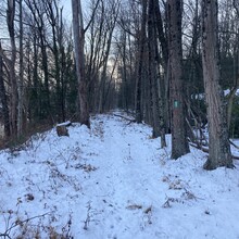 Matthew Matta - O&W Rail Trail (NY)