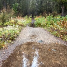 Michael Wirth - Pacific Crest Trail:  Harts Pass to Rainy Pass (WA)