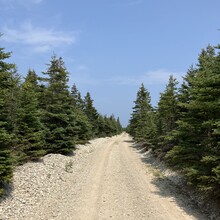 Patrick Plourde-Lavoie - TransAnticosti