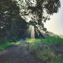 Liam Lonsdale, Elizabeth Mills - East Bay Skyline National Recreation Trail (CA)