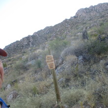 Marcy Beard - Catalina State Park All Trails (AZ)