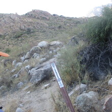 Marcy Beard - Catalina State Park All Trails (AZ)