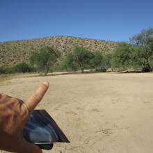 Marcy Beard - Catalina State Park All Trails (AZ)