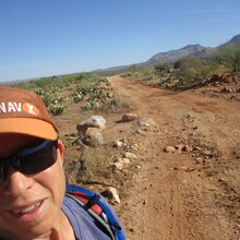 Marcy Beard - Catalina State Park All Trails (AZ)