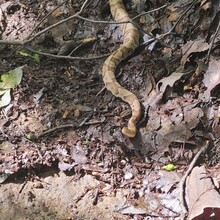 Ben Estes, Billy Estes - Mammoth Cave National Park Backcountry Circuit (KY)