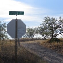 Marcy Beard - Ruby Road Marathon