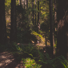 Liam Lonsdale, Elizabeth Mills - East Bay Skyline National Recreation Trail (CA)