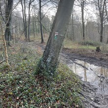 Vincent Urien - GR212 (France)