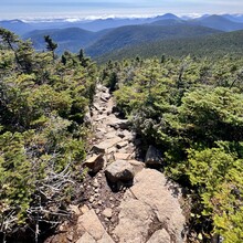 Amber Constant - Pemigewasset Loop (NH)