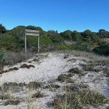 John Troha - Fire Island Lighthouse to Montauk Point Lighthouse (NY)