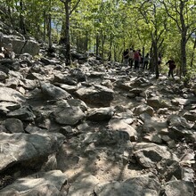 Dream Walton - Pinnacle Mountain (AR)