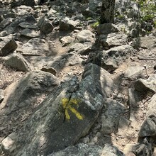 Dream Walton - Pinnacle Mountain (AR)