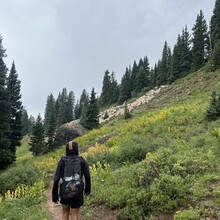 Nina Bridges - Colorado Trail (CO)