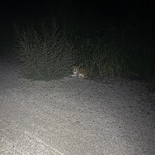 Cole Shotkoski - Homestead Trail (NE)