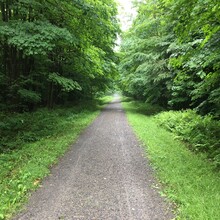 Randy Shemanski - D&H Trail (PA)