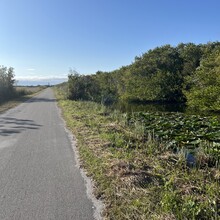 Nico de Vries - Shark Valley Everglades National Park Loop (FL)