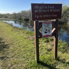 Nico de Vries - Shark Valley Everglades National Park Loop (FL)