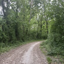 Giel Hagenbeek - Vienna to Bratislava