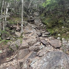 Christopher "Walkin" Paquette - Pemigewasset Loop (NH)