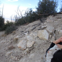 Marcy Beard - Tucson Eastern Skyline Traverse (AZ)