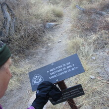 Marcy Beard - Arizona Trail Santa Catalina Loop