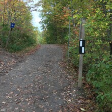 Erin Lyttle - Bruce Trail, Niagara Section (ON, Canada)