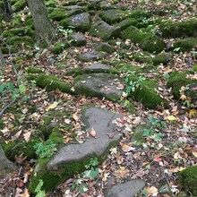 Erin Lyttle - Bruce Trail, Niagara Section (ON, Canada)