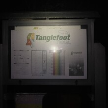 Caleb Smith - Tanglefoot Trail (MS)