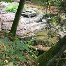 Erin Lyttle - Bruce Trail, Niagara Section (ON, Canada)