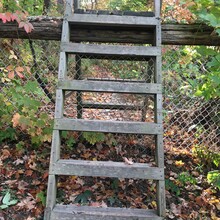 Erin Lyttle - Bruce Trail, Niagara Section (ON, Canada)