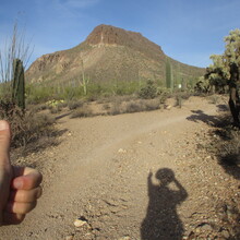 Marcy Beard - Tucson [?]