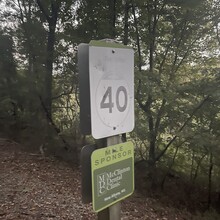 Caleb Smith - Tanglefoot Trail (MS)