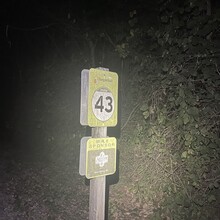 Caleb Smith - Tanglefoot Trail (MS)